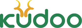 Kudoo Technologies Ltd